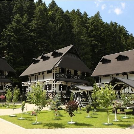 Hotel Complex Lions Bucovina Woronetz Exterior foto
