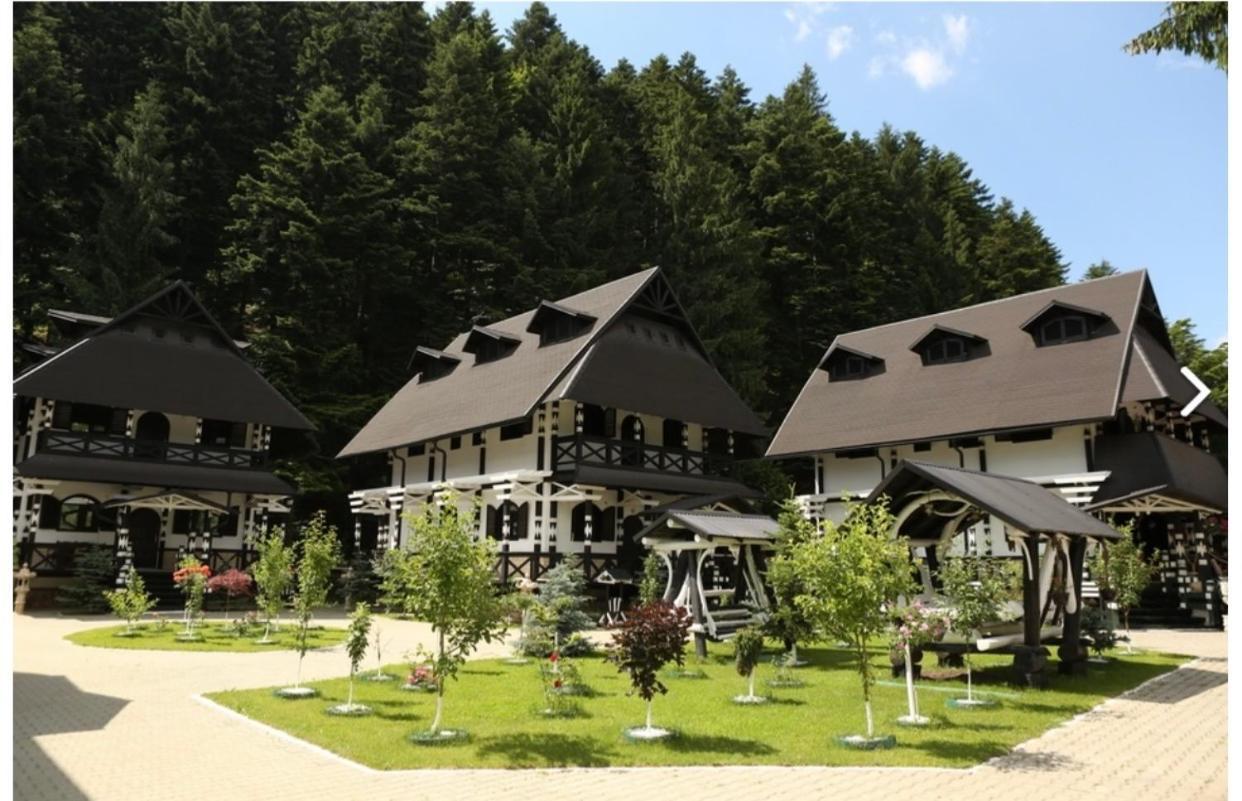 Hotel Complex Lions Bucovina Woronetz Exterior foto