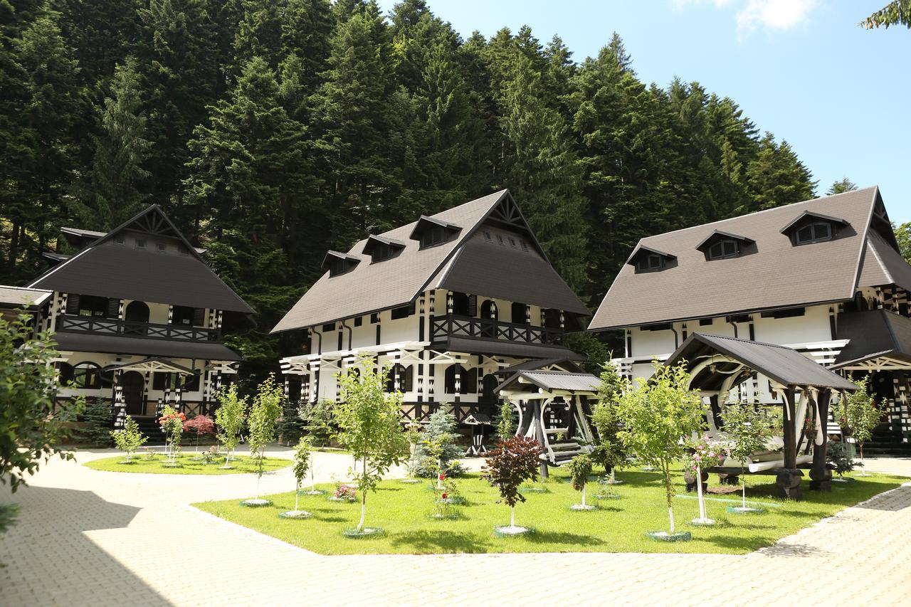 Hotel Complex Lions Bucovina Woronetz Exterior foto