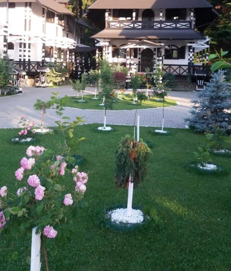 Hotel Complex Lions Bucovina Woronetz Exterior foto